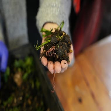 Kadıköy’de Ekolojik Yaşam Merkezi’nde Atölyeler Sürüyor