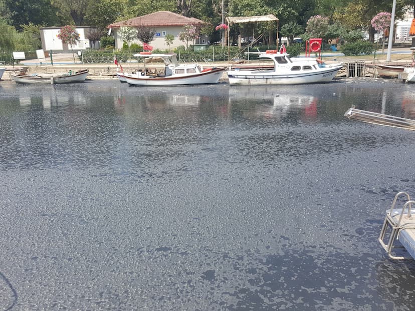 https://kadikoyapi.kadikoy.bel.tr/Documents/file/K_News/1-d50954a9-64da-4b5a-bb00-019948a39896.jpg