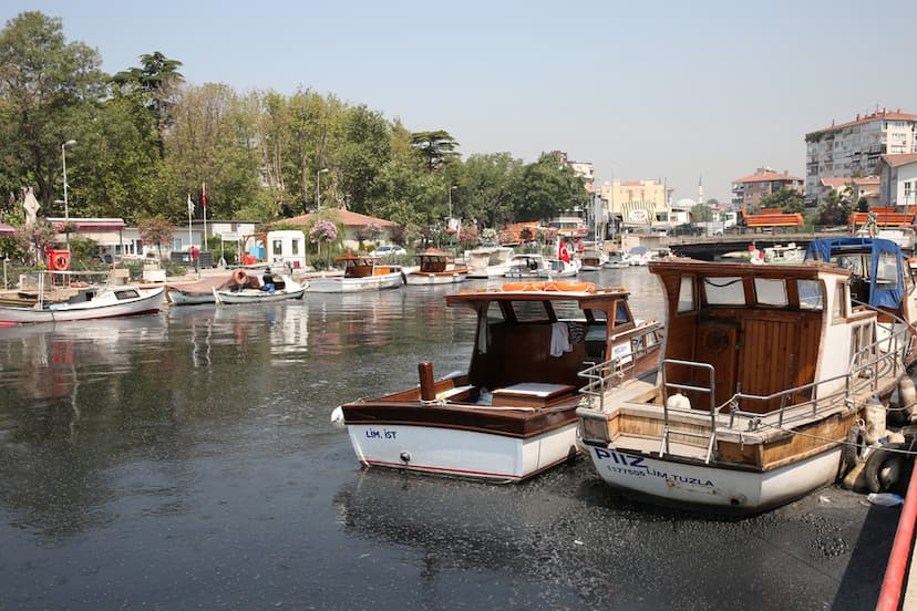 https://kadikoyapi.kadikoy.bel.tr/Documents/file/K_News/3-3fb5bfef-2815-4cba-9183-a31a2a6637aa.jpg