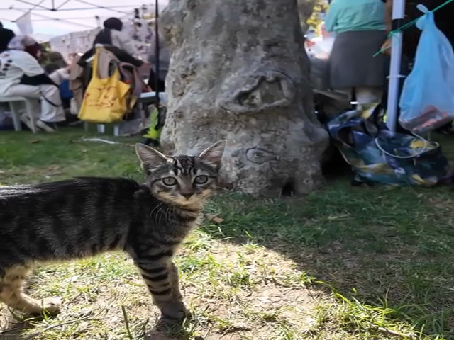 Kadıköy Çizgi Festivali 2026