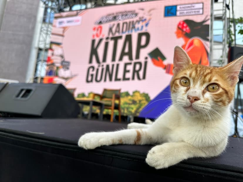 https://kadikoyapi.kadikoy.bel.tr/8d68cc708ccc444fa132155309ccfe3f.jpeg